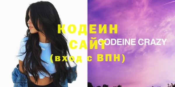крисы Абаза