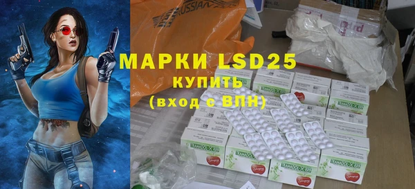 крисы Абаза