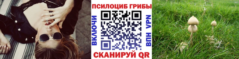Галлюциногенные грибы GOLDEN TEACHER  Терек 